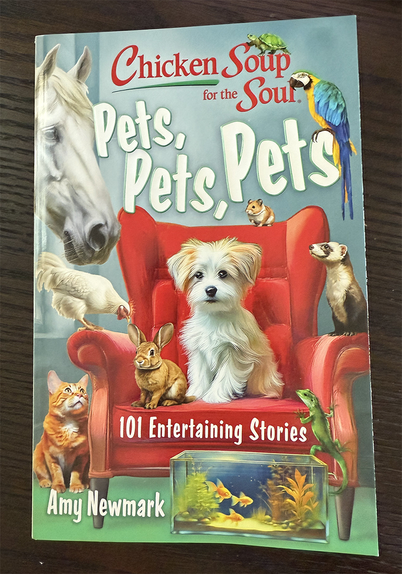 pets pets pets, chicken soup for the soul series book cover